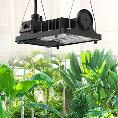 Immagine di SANSI LED Grow Light per piante da interno, 700W equiv. dimmerabile a spettro completo con un raggio d&#039;azione di 3 x piedi e lente ottica elevato PPFD, luce risparmio energetico