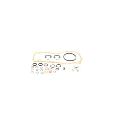 Immagine di BOSCH 1 427 010 003 Guarnizioni