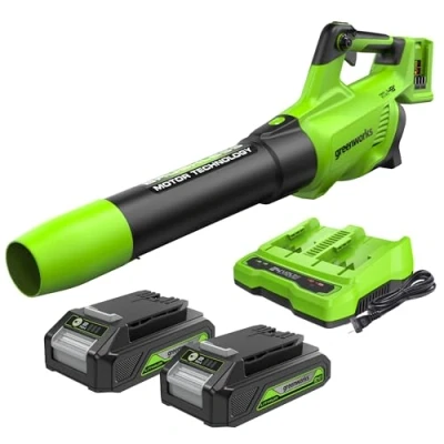 Immagine di Greenworks 48V(2x24V) Soffiatore Foglie Assiale a Batteria CON Motore Brushless, Funzione Turbo, 217km/h, 16,4m3/min, 2 Batterie 24V 2Ah e Caricabatterie, Garanzia 3 Anni GD24X2ABK2X