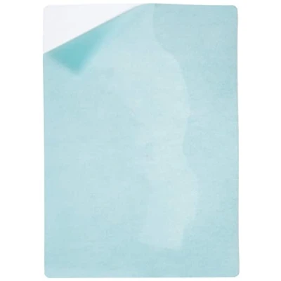 Immagine di Fellowes 5328901 Pouche Capture Autoadesiva, Formato A4, 125 Micron, Confezione da 100 Pezzi, Trasparente