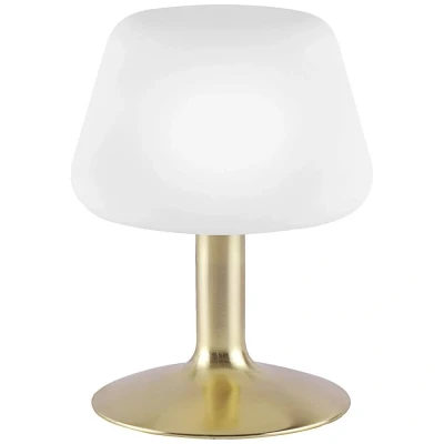 Immagine di Paul Neuhaus TILL 4078 60 Abat Jour LED (monocolore) G9 3 W Bianco caldo Ottone (opaco)