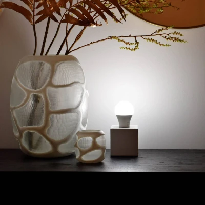 Immagine di Calex Lampadina SMART LED a riflettore GU10 4,9W RGB CCT 2pcs