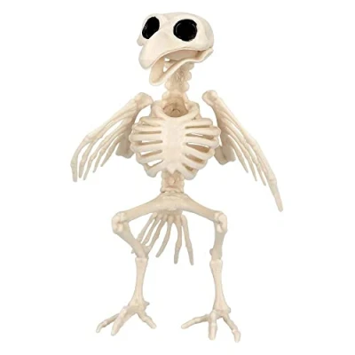 Immagine di Boland 72406 Scheletro per uccelli, dimensioni 20 cm, bocca mobile, finta in plastica, decorazione Halloween, Carnevale o festa a tema