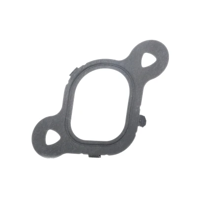 Immagine di REINZ 71 37538 00 Guarnizione Collettore Aspirazione per cilindro 1 VOLKSWAGEN: Transporter 5, 5 Bus, Touareg I