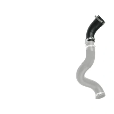 Immagine di GATES 09 0616 Manicotto Turbina Policloroprene (Neoprene) FORD: Transit Mk6 Van, V363 Bus