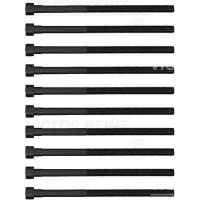 Immagine di REINZ 14 12261 02 Kit Bulloni Testata Torx interno BMW: 1 Hatchback, 3 Touring, 2 Coupe, MINI: Cabrio