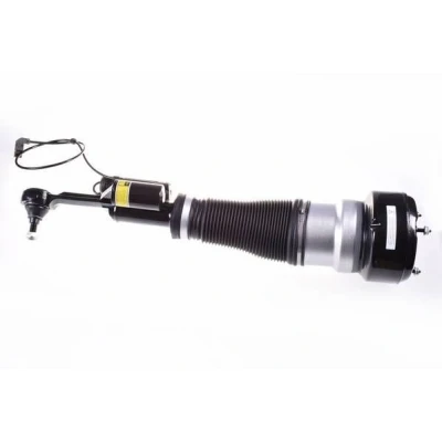 Immagine di DENCKERMANN DSA021G Gamba elastica con ammortiz. pneumatico Assale anteriore Dx MERCEDES BENZ: Classe S Sedan