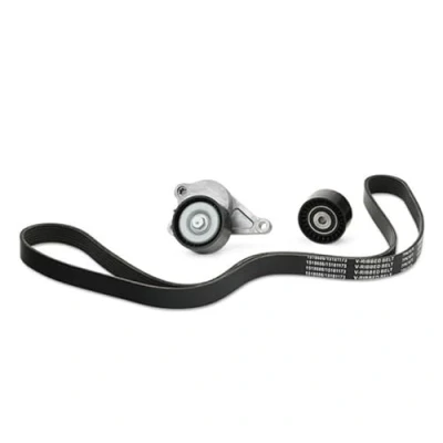 Immagine di INA 529 0355 10 Kit cinghie Poly V Controllare corsa libera generatore ed ev. sostituire RENAULT: MASTER 3 Kasten, Bus