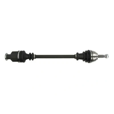 Immagine di PASCAL G2R050PC Albero motore / Semiasse Assale anteriore Dx 718 RENAULT: CLIO 2, Kangoo I, I Express