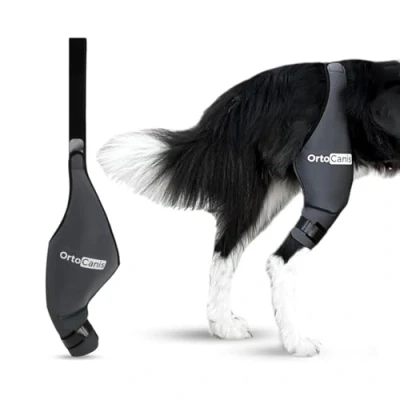 Immagine di Ortocanis Ginocchiera per Cane Zampa Posteriore Destra Realizzata in Neoprene ARD Rottura del LCA, Lesioni Legamento, Lussazione della Rotula o Osteoartrite Taglia X Large (14,2 16 &quot;)