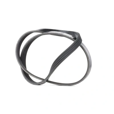 Immagine di BOSCH 1 987 946 127 Cinghia Poly V 917 4 Elastic BMW: 3 Touring, Sedan, X3, FIAT: Stilo Hatchback, Multi Wagon