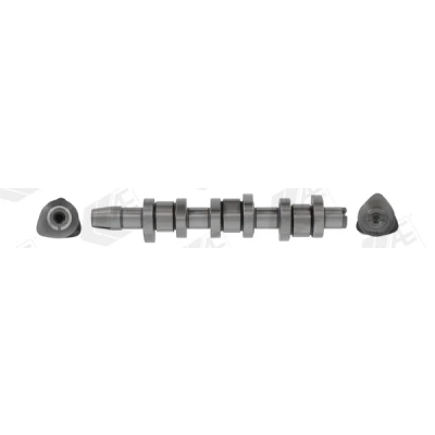 Immagine di AE CAM1010 Albero a Camme AUDI: A2