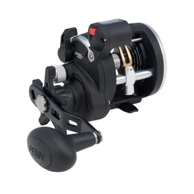 Immagine di PENN Rival™ Level Wind, mulinello da pesca, convenzionale, pesca per barca e kayak, acqua salata resistente merluzzo, spigola, pesce piatto, raggi, tope,