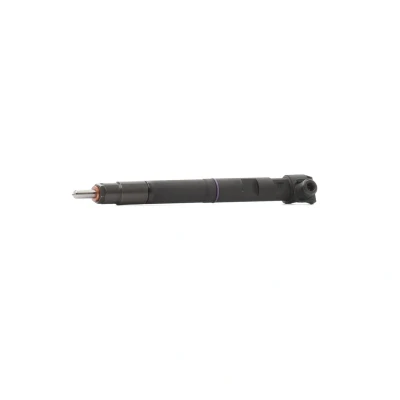 Immagine di DELPHI 28489548 Supporto polverizzatore OPEL: Antara, CHEVROLET: Captiva