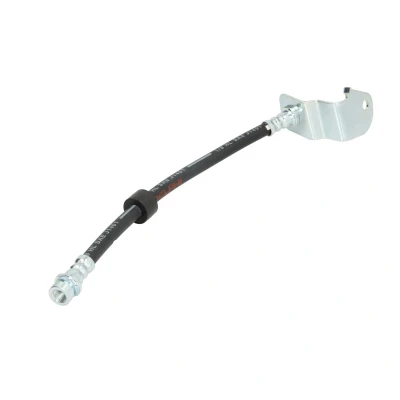 Immagine di DELPHI LH7009 Tubi Freno 277 M10x1 Int SF