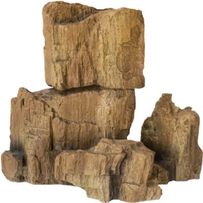 Immagine di Hobby Fossil Rock