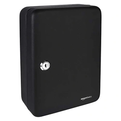 Immagine di Amazon Basics Cassetta di sicurezza per 48 chiavi, con serratura, in acciaio, Nero, 24.89 x 19.99 17.78 cm