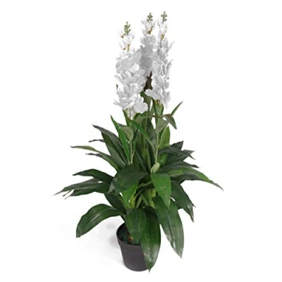Immagine di LEAF 7241 Pianta artificiale Cymbidium Orchidea, in plastica nera, extra large, 90 cm, colore: Bianco