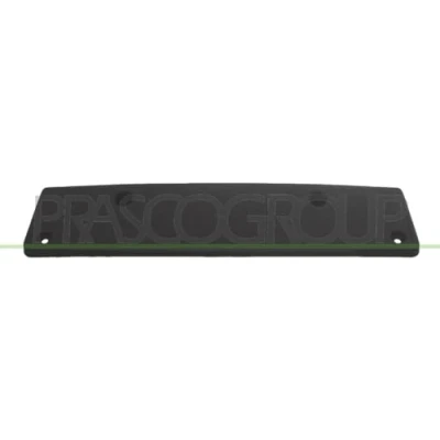 Immagine di Supporto targa PRASCO VG0941539