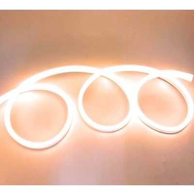 Immagine di Striscia LED al neon flessibile impermeabile IP65 5 metri 120 LED/m 12 V colore caldo