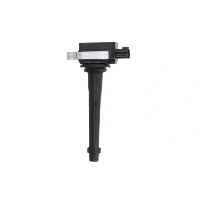 Immagine di DELPHI GN10317 12B1 Bobina d&#039;accensione 3 12 RENAULT: CLIO 3, NISSAN: Qashqai / Qashqai+2 I, Note MICRA