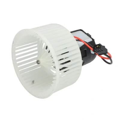 Immagine di Soffiante interna THERMOTEC DDB019TT