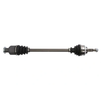 Immagine di PASCAL G2R069PC Albero motore / Semiasse Assale anteriore Dx 725 per veicoli con ABS RENAULT: CLIO 2, Kangoo I, I Express