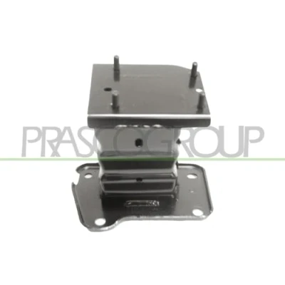 Immagine di PRASCO DS7121603 Supporto, Paraurti anteriore Dx NISSAN: Qashqai 2