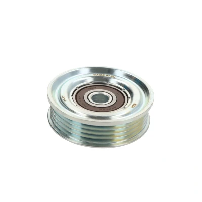 Immagine di BTA E28011BTA Rullo Tendicinghia