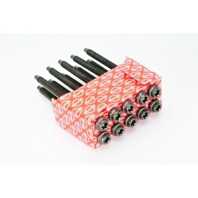 Immagine di ELRING 156.550 Kit Bulloni Testata Torx interno FORD: KA Hatchback, FIESTA 5, Fusion Station Wagon