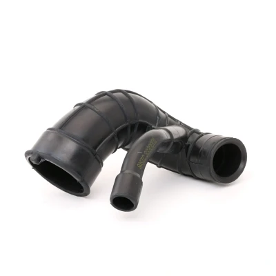 Immagine di SASIC 3330001 Flessibile d&#039;aspirazione, Filtro aria Entrata PEUGEOT: 307 Hatchback, 206 207 FORD: FIESTA 5, Fusion Station Wagon