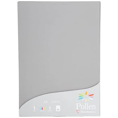 Immagine di Clairefontaine 24283C Astuccio da 25 fogli Formato A4 (21x29,7cm) 210g/m² Colore Grigio acciaio Inviti Eventi e Corrispondenza Gamma Pollen Carta Premium Liscia