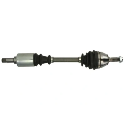 Immagine di Albero motore/Semiasse PASCAL G2C005PC