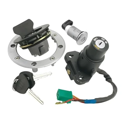 Immagine di Vicma Lock Set For Hyosung GT 125 650 CC