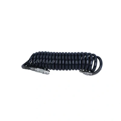 Immagine di ROOKS OK 04.1002 Flessibile aria compressa 8 15 con pezzi raccordo