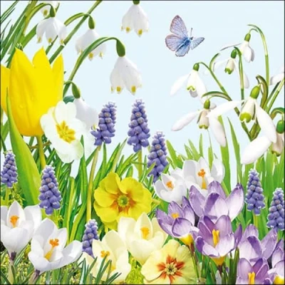 Immagine di Ambiente Tovaglioli Spring Time Primavera/fiori/farfalla