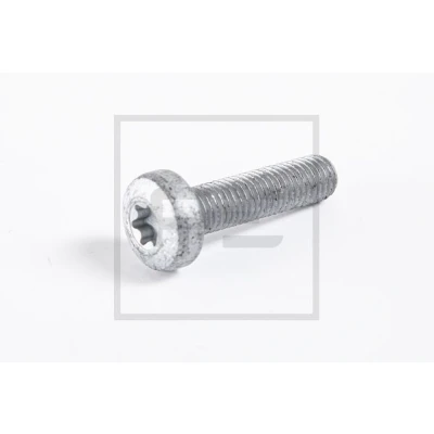 Immagine di PETERS ENNEPETAL 010.863 10A Bullone/Vite M10 Torx interno