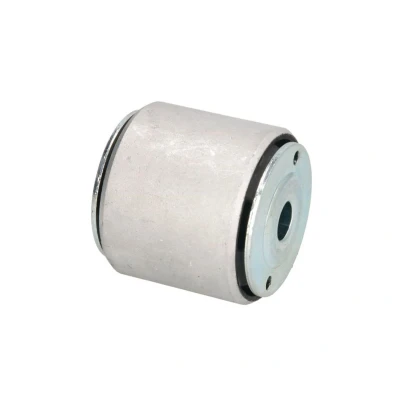 Immagine di TEDGUM TED40982 Supporto, Differenziale Assale anteriore, Dx