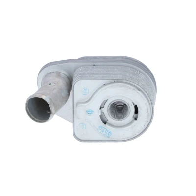 Immagine di NRF 31325 Radiatore Olio con anello tenuta EASY FIT IVECO: DAILY 3 Kasten/Kombi