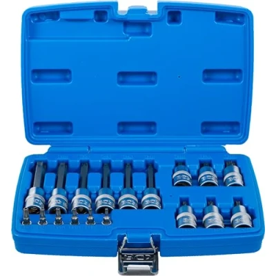 Immagine di BGS 5174 Set di inserti per azionamento quadrato interno 6,3 mm (1/4&quot;) / 12,5 (1/2&quot;) profilo a T (per Torx) con foro 18 pezzi