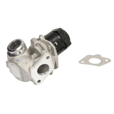 Immagine di WAHLER 710929D/1 Valvola EGR elettrico con guarnizioni FORD: FIESTA 6, 5, Fusion Station Wagon, PEUGEOT: 207 Hatchback, 206 Hatchback