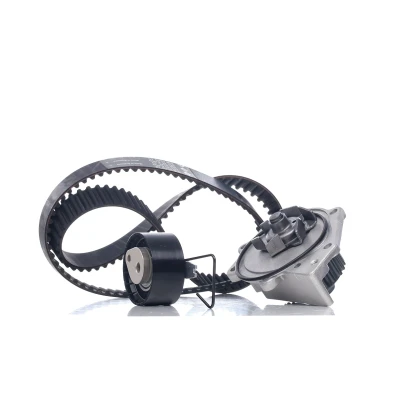 Immagine di INA 530 0376 30 pompa acqua + Kit Cinghia Distribuzione con MG: MG TF Cabrio, MGF ZR Hatchback, ROVER: 25 Hatchback