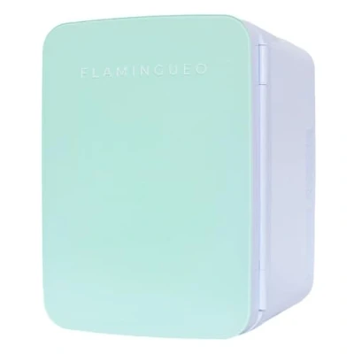 Immagine di Flamingueo Frigorifero Piccolo Mini Frigo 10L, 12V/220V, da Camera, Ufficio, Raffreddamento e Riscaldamento, Bar