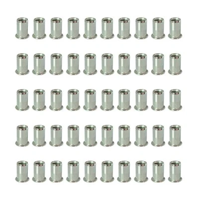 Immagine di 50 pezzi rivetto filettato in acciaio inossidabile (304) M4 M5 M6 M8 M10 dado Testa piatta con strisce verticali, scheda tecnica