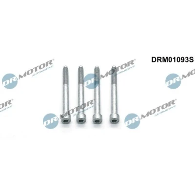 Immagine di DR.MOTOR AUTOMOTIVE DRM01093S Bullone, Supporto iniettore CITROËN: C4 Picasso 1, DS5 Hatchback, Jumper II Van, PEUGEOT: 508 I Sedan, Boxer Van