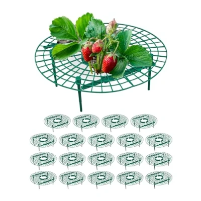 Immagine di Relaxdays Set da 20 Anelli di Supporto per Fragole, Sostegno in Plastica Piante Orto, Rete Antimuffa, Verde, 10 x 30 cm