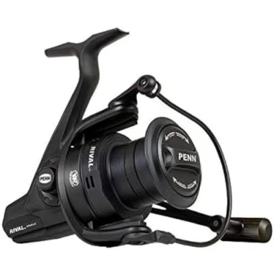 Immagine di PENN Rival Longcast Black 8000 Mulinello