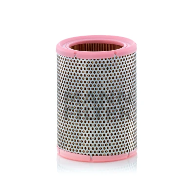 Immagine di MANN FILTER C 1362 filtro aria 172 128 Cartuccia RENAULT: Super 5 Hatchback, Trafic I Van