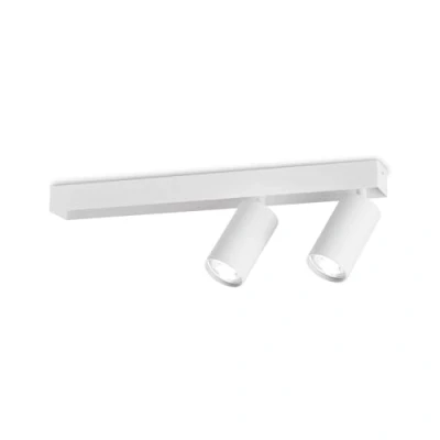 Immagine di Ideallux Ideal Lux Profilo, faretto da soffitto, bianco, a 2 luci, metallo