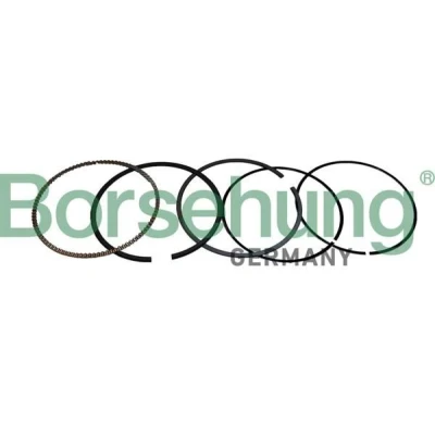 Immagine di Kit fasce elastiche Borsehung B10372